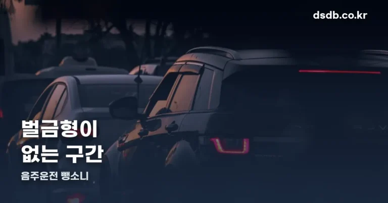 음주운전 뺑소니 — 벌금형이 없는 구간입니다