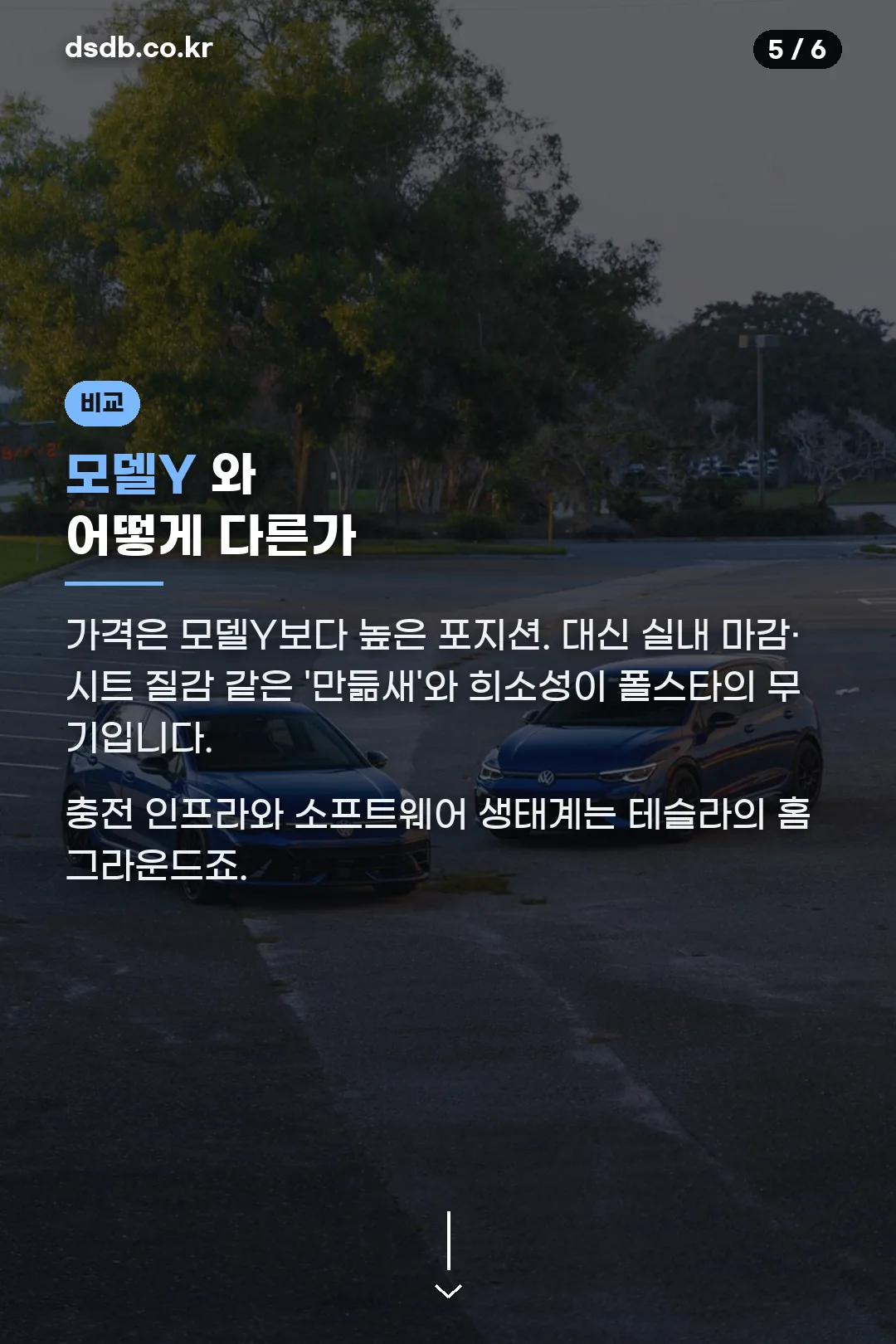 모델Y 비교