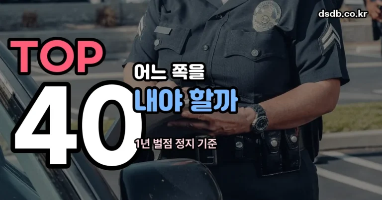 범칙금 정리 썸네일
