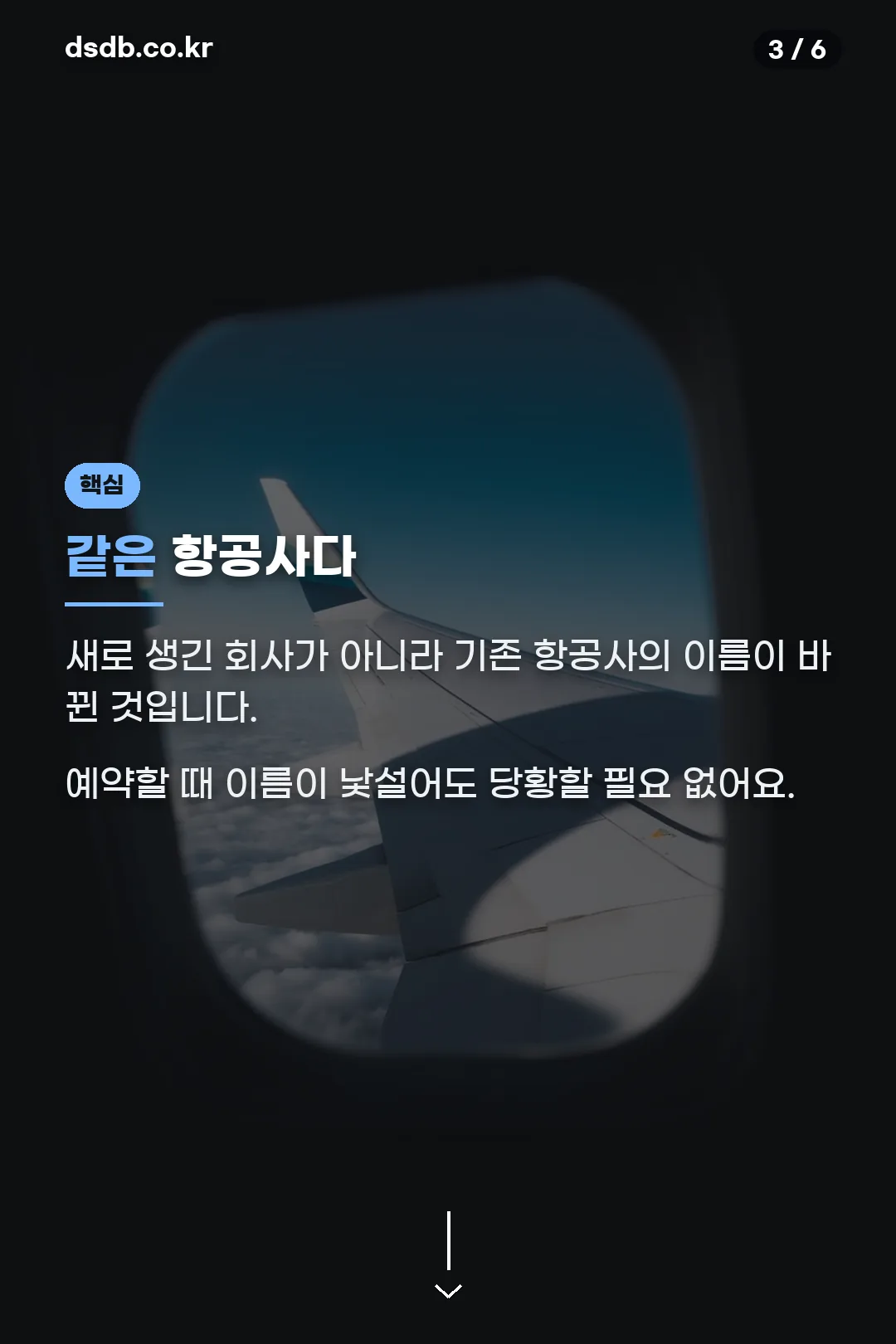 같은 항공사