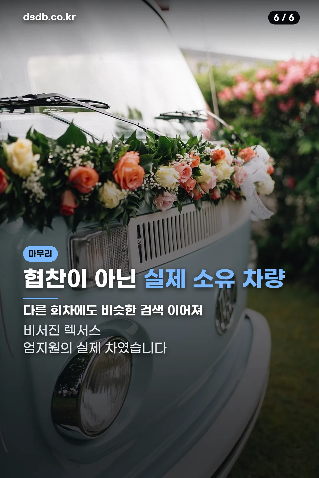 실제 소유 차량 마무리