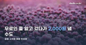 철원 고석정 꽃밭 주차장 — 무료·유료 두 곳 헷갈리지 않기