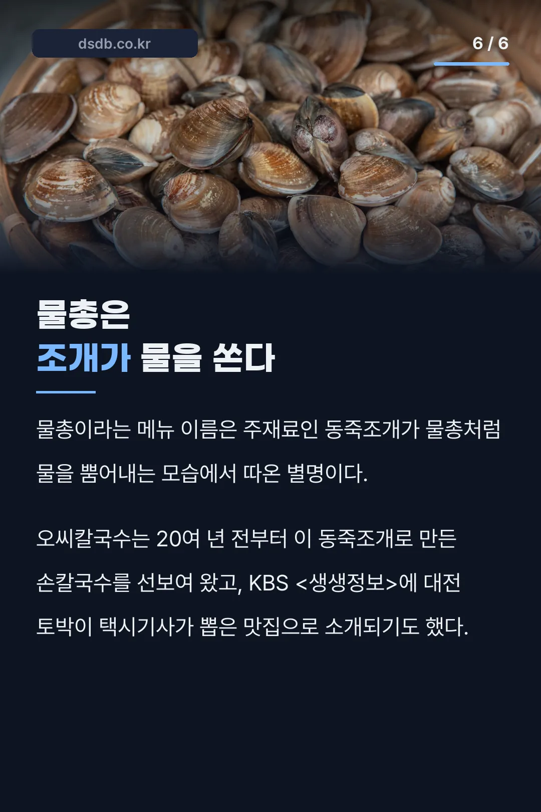 물총이라는 이름의 유래