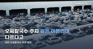 대전 오씨칼국수 주차 — 본점·도룡점·중앙시장점 셋 다 다릅니다